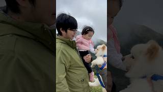 女兒小莫［育兒日常］妹妹下山遇到一隻狗，幫狗狗加油打氣攻頂喔。1y3m29d