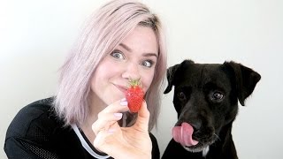 MON CHIEN GOÛTE DES FRUITS ET LÉGUMES