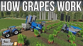 GRAPES IN FS19! How To Harvest, Store, \u0026 Sell Them! | Farming Simulator 19 (PS4, XB1, PC)