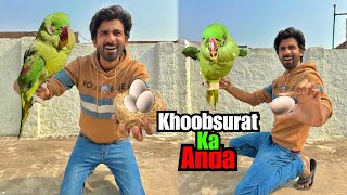 Rescue Parrot Ny Anokha Surprise Dy Diya || Time to Celebrate 🥳