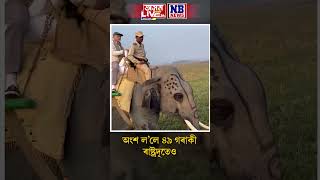 কাজিৰঙাত হাতী আৰু জীপ ছাফাৰী কেন্দ্ৰীয় বৈদেশিক মন্ত্ৰী এছ জয়শংকৰৰ