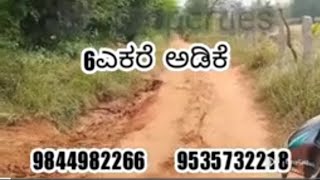 ಅದಿಕೆ ತೋಟ 6 ಎಕರೆ ಚಳ್ಳಕೆರೆ