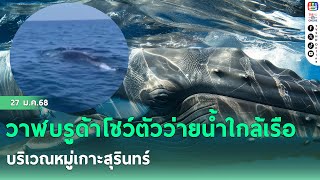 วาฬบรูด้าโชว์ตัวว่ายน้ำใกล้เรือ บริเวณหมู่เกาะสุรินทร์ | เที่ยงวันทันข่าว 27 ม.ค.68