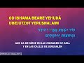 Jonathan Settel - Od Yishama Medley - עוד ישמע