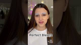 Осветляющий порошок для бровей Perfect Bleach