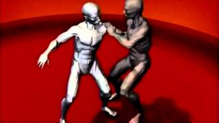 Human Weapon Muay Thai, Ninjutsu & Silat