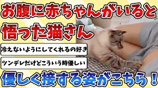 【2ch動物スレ】普段はツンツンしてて懐かない『猫』さん、ママのお腹に赤ちゃんがいると理解した時の行動が優しすぎる！！！