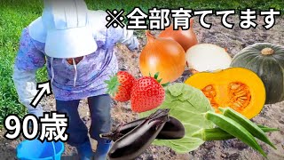 【田舎一人暮らしの日常】おばあちゃんの今日の仕事【農家】