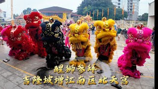 Lion Dragon Dance Worship 醒狮参拜 | 吉隆坡增江南区北天宫 | KL Jinjang Nine Emperors Temple