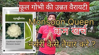 syngenta monsoon queen | cauliflower seeds for rainy season | monsoon queen | cauliflower seeds |