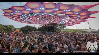 Alien Safari - Sprung 2016
