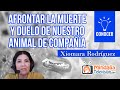 Afrontar la muerte y duelo de nuestro animal de compañía, por Xiomara Rodríguez