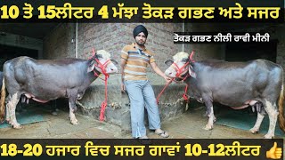 4 ਮੱਝਾ ਅਤੇ 2 ਗਾਵਾਂ ਵੀਕਾਓ। cows and Buffalo for sale/vadiya farm/7-8-24