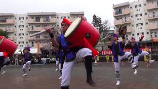 鶴川エイサーよさこい祭り'19 午前の部 東京中野区 新風エイサー 2-1