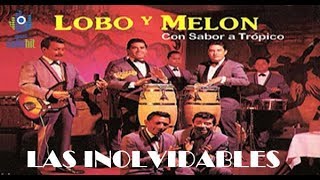 Mix de 11 exitos Inolvidables del Lobo y Melon