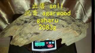 沉香 植物界的钻石价格一年起 20%-30% agarwood