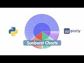 Introduction to Sunburst Charts in Plotly Express (Python)