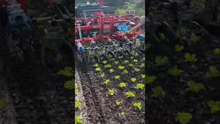 Robot Tractor AgBot By AgXeed With Robotic Cultivator iSelect By K.U.L.T USA || #shorts