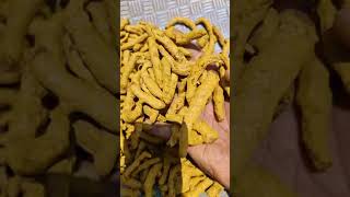 Turmeric Finger | Available on IndiaMART