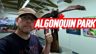 I Drove Highway 60 in Algonquin Park and Found Hidden Gems!