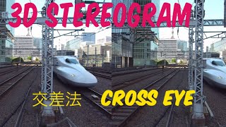 STEREOGRAM (Cross Eye 3D) | 交差法☆ステレオグラム | C01 STEREOSCOPIC