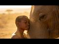 FEEL HELD & SAFE | African Ancestral Music for Emotional Release | 528Hz Healing Drone