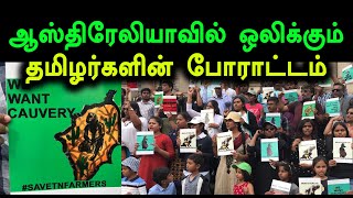 காவிரி, ஸ்டெர்லைட் பிரச்சினை, ஆஸ்திரேலியா வாழ் தமிழர்கள் போராட்டம் - Oneindia Tamil