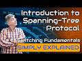 Spanning Tree Protocol Explained | How STP Prevents Layer 2 Loops