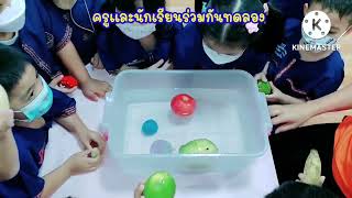 การทดลองวิทยาศาสตร์เรื่องจมหรือลอย