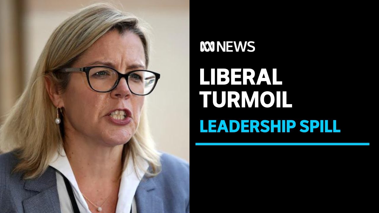 WA Liberal Leadership Turmoil As Party's Only Two Lower House MPs ...