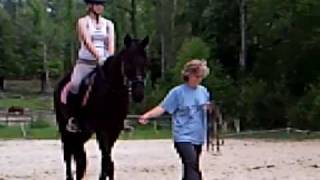 Anne Demaree of Saudi Arabia horse riden by Samantha Trojan a 3 YO Friesen Mix  Part 2 of 4