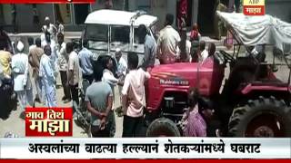 Gaon Thithey majha 7pm: Buldhana: dongar khandala: bear attack on farmer  0609