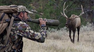 Bowhunting Montana Bulls - Willi is after big bulls | Pure Hunting S11 E2