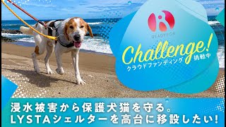 浸水してしまう１２０頭犬猫保護シェルター、水害から保護犬猫を守るため高台移転します！クラウドファンディングのご協力をお願いいたします【継続できる殺処分ゼロのスタートラインに立つために】