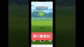 【Pokemon GO】毽子草社群日捕捉+進化