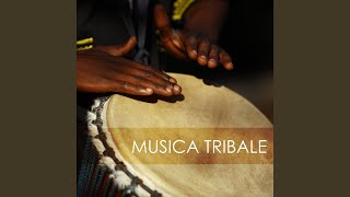 Voci dell'Africa