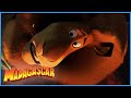 DreamWorks Madagascar | It Tastes Like Chicken! | Madagascar  Escape 2 Africa Movie Clip