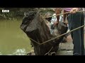 junagadh flood live कहीं बही कार कहीं बहे मकान जूनागढ़ से आई बाढ़ की डरावनी तस्वीरें