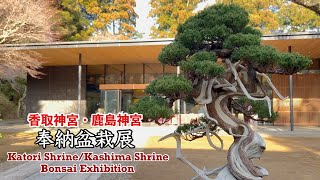 香取神宮・鹿島神宮 「奉納盆栽展」 ／Katori Shrine/Kashima Shrine \