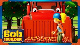 Bob the Builder full episodes | Apples Everywhere ⭐ NEW Season 20 Compilation ⭐ Cartoon for Kids