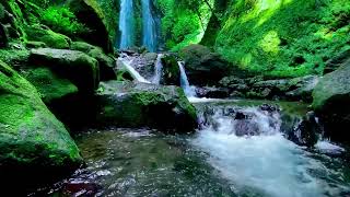 Lose Your Boredom in the Mighty Stream In Serene Water Views - Rushing Stream Sounds For Sleeping