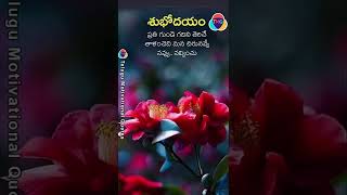 ప్రతి గుండె గదిని తెరిచే తాళం చెవి #Telugu Motivational Quotes #shorts #503