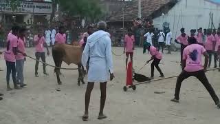 மொளசி குரூப்ல அந்த பெரியவர் யாரு? அவர வெளிய அனுப்பு புத்தூர் எருதுகட்டு #erudhukattu