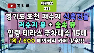 경기도 포천 저수지 신축건물-저수지뷰+숲속 뷰-힐링 테라스 주차대수15대-1억/600 베이커리 카페 강추!!!