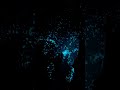 unbelievable bioluminescence plankton travelwithme maldives landscape travel maldivesislands