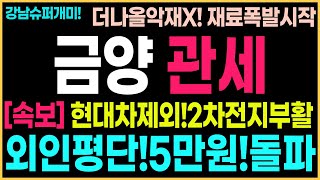 [금양 주가 전망]현대차관세제외!2차전지부활신호탄!외인5천억!평단5만원돌파시작!