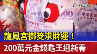 龍鳳宮擲筊求財運！ 200萬元金錢龜王迎新春