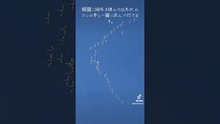 北海道、深川市🌾🍎白鳥が飛んでいきます。#北海道 #深川市#白鳥#夢をあきらめない