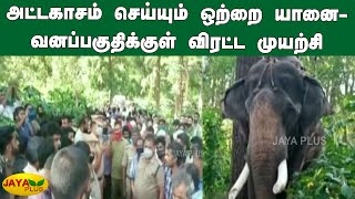 அட்டகாசம் செய்யும் ஒற்றை யானை- வனப்பகுதிக்‍குள் விரட்ட முயற்சி | Gudalur | Wild Elephant Attack