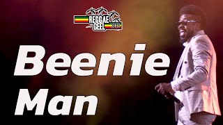 Beenie Man Live @ Reggae Geel Festival Belgium 2019